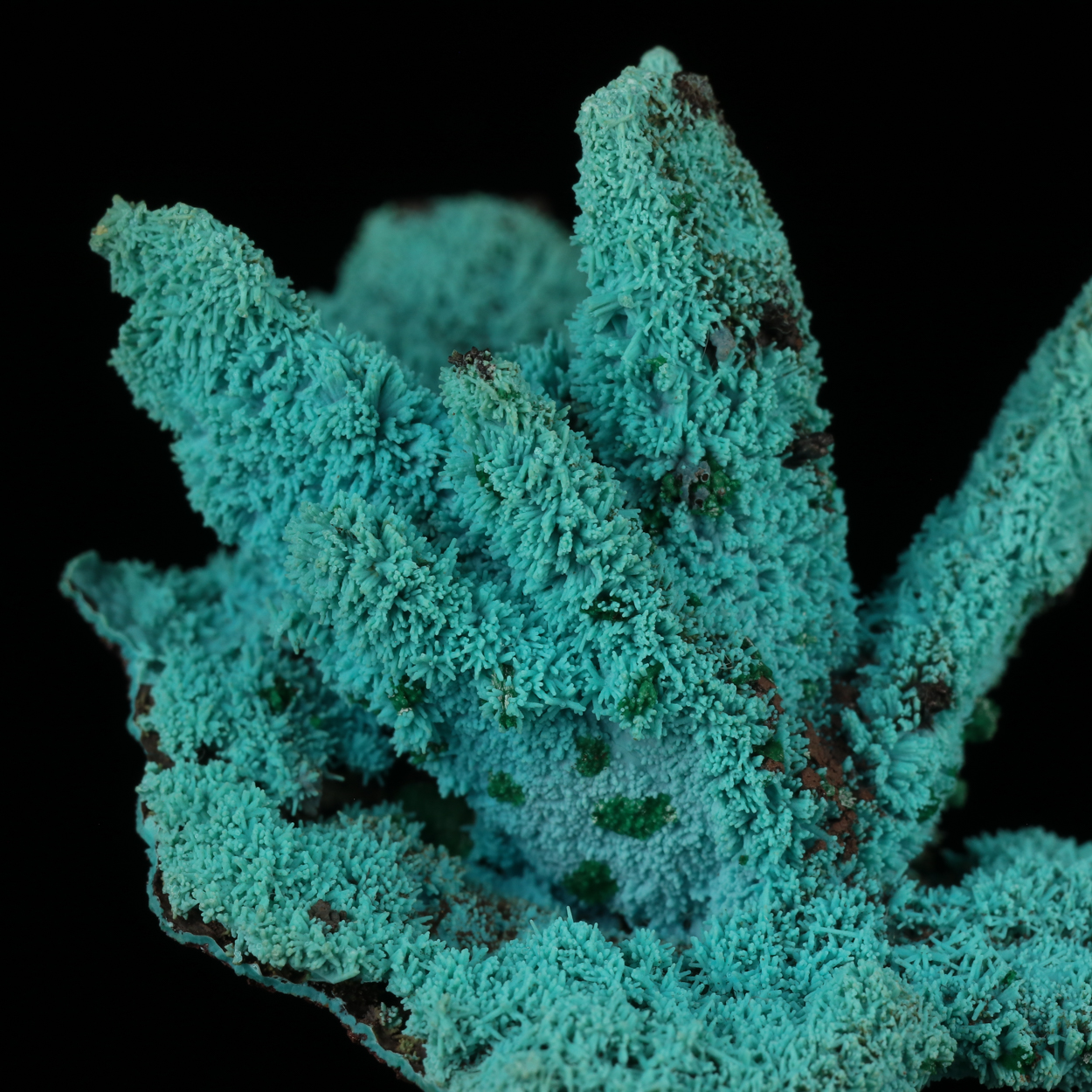 Malachite On Chrysocolla Psm Azurite