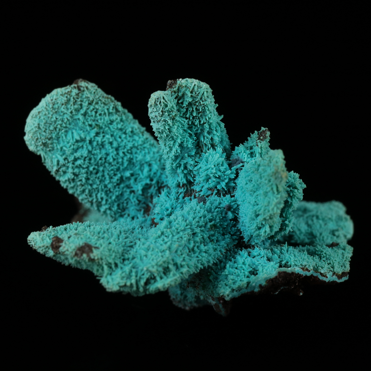 Malachite On Chrysocolla Psm Azurite