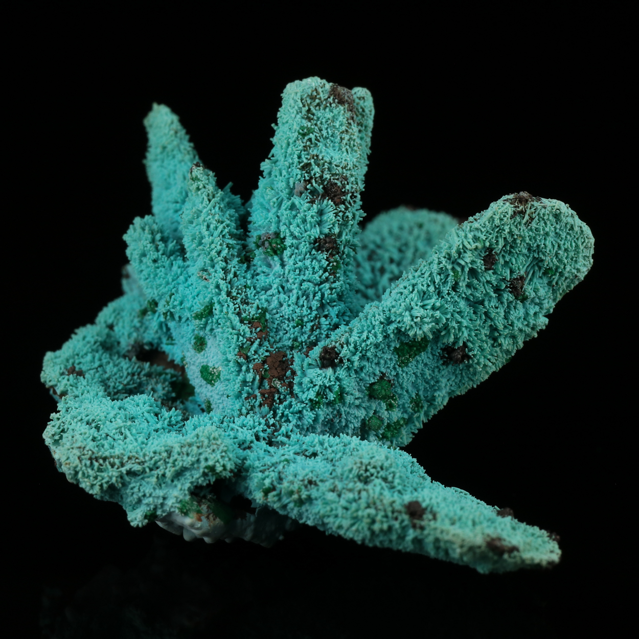 Malachite On Chrysocolla Psm Azurite