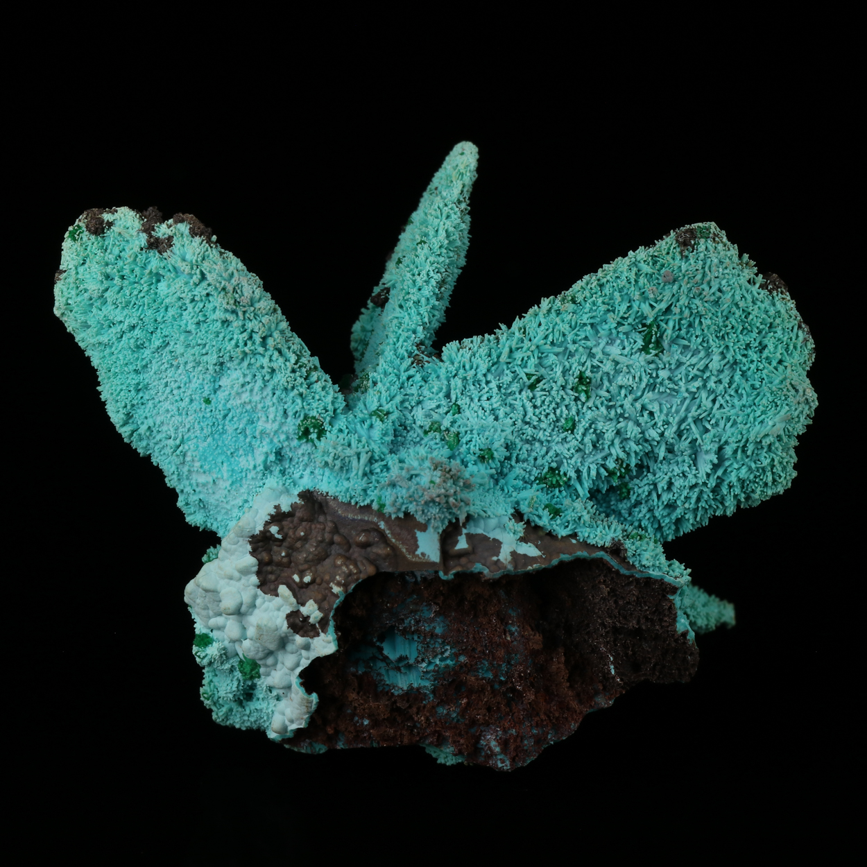 Malachite On Chrysocolla Psm Azurite