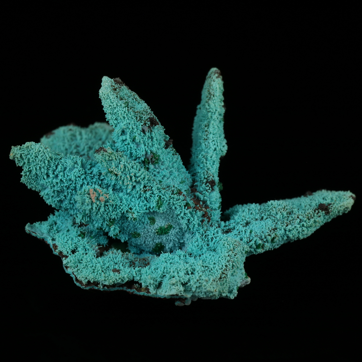 Malachite On Chrysocolla Psm Azurite