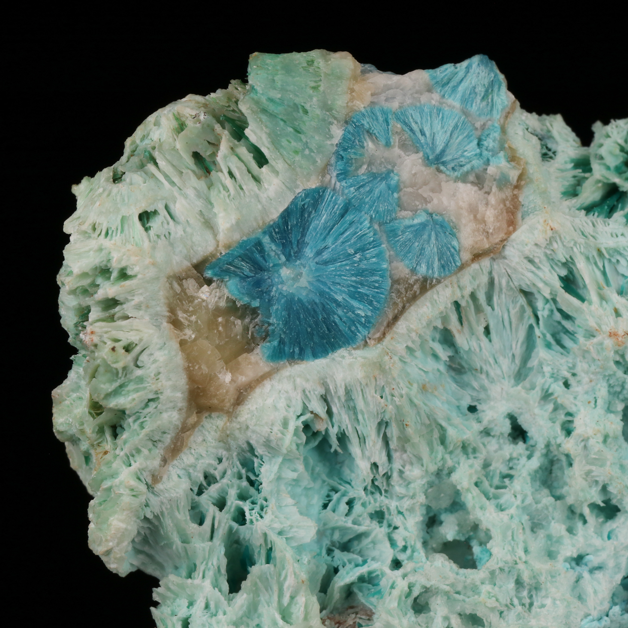 Shattuckite & Plancheite With Chrysocolla & Dioptase