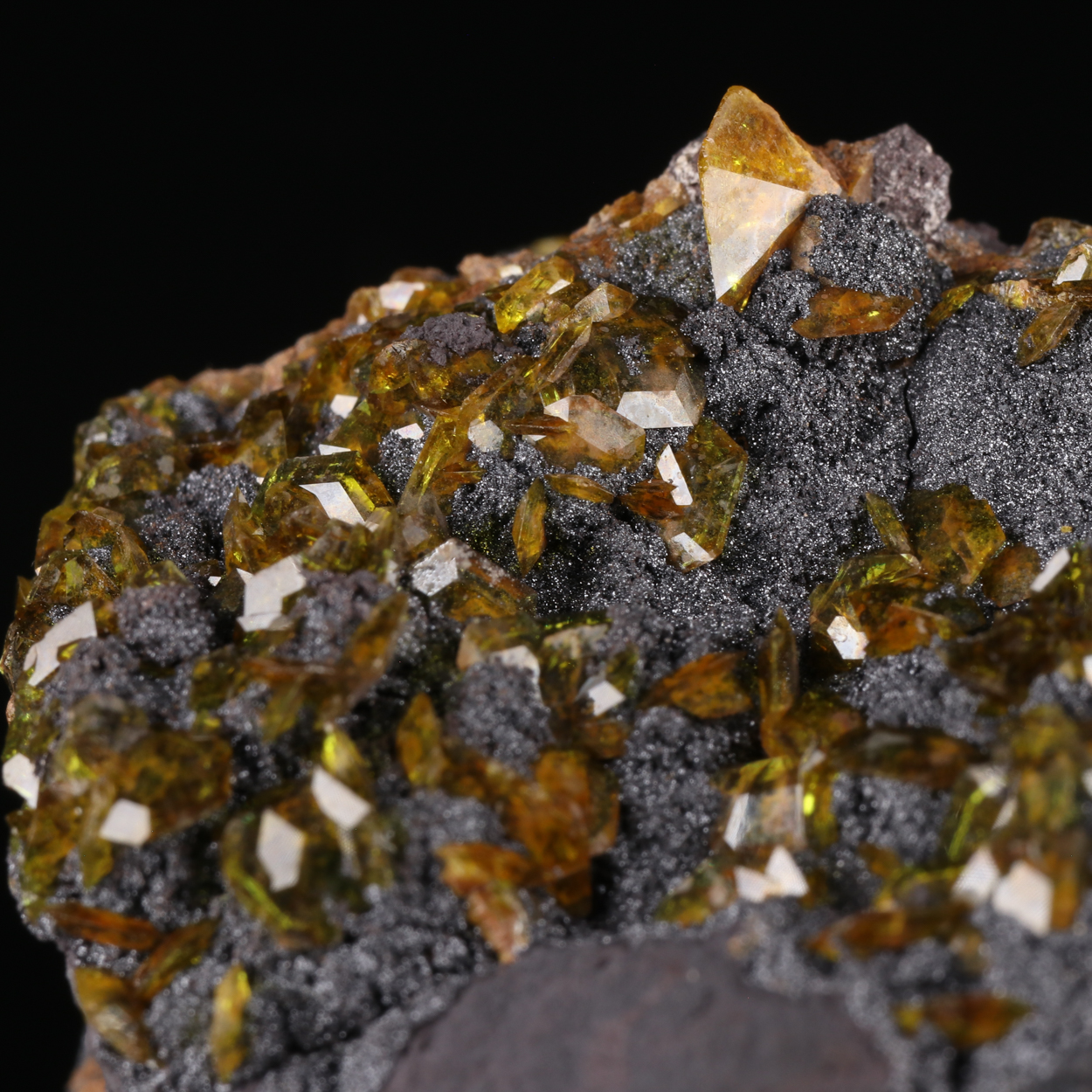 Sturmanite