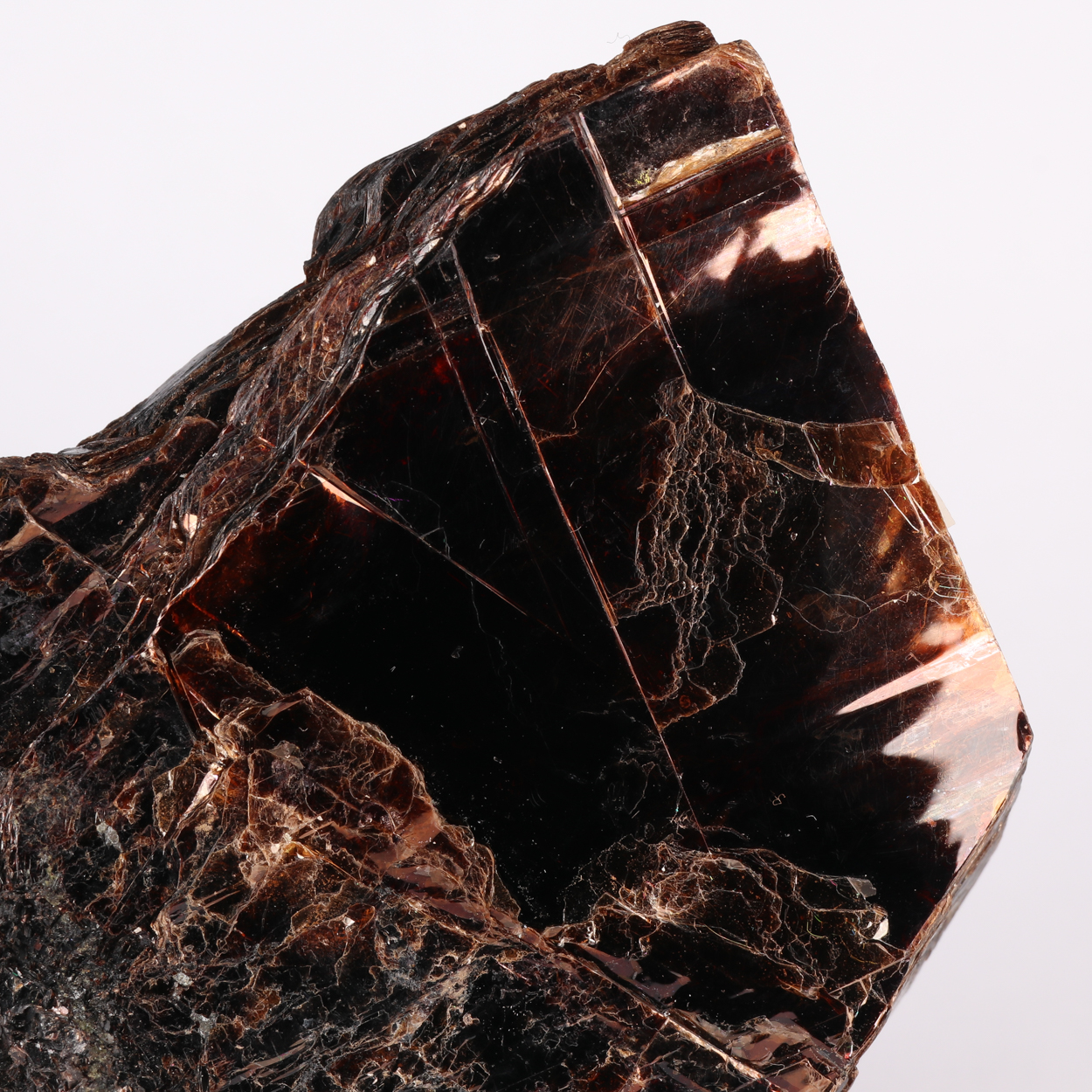 Muscovite