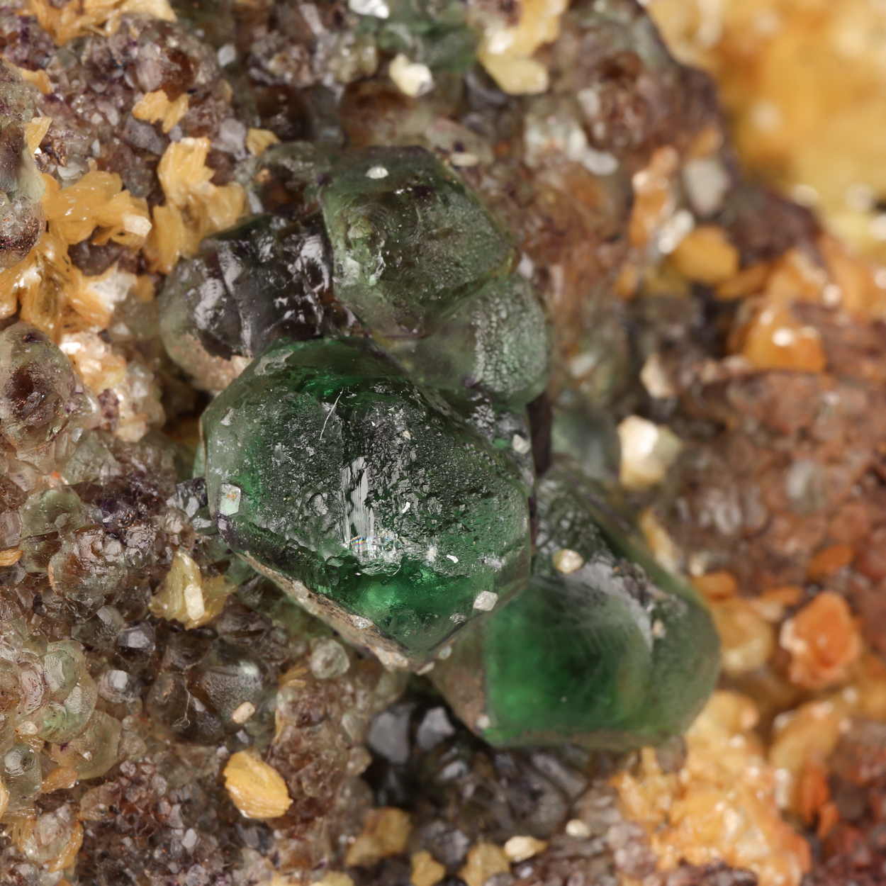 Muscovite & Fluorite