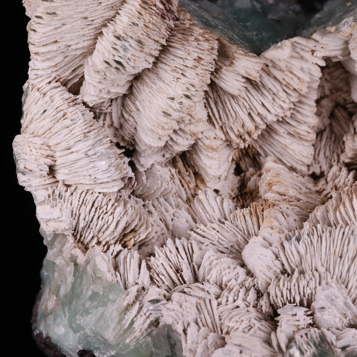 Hydrozincite On Tarbuttite