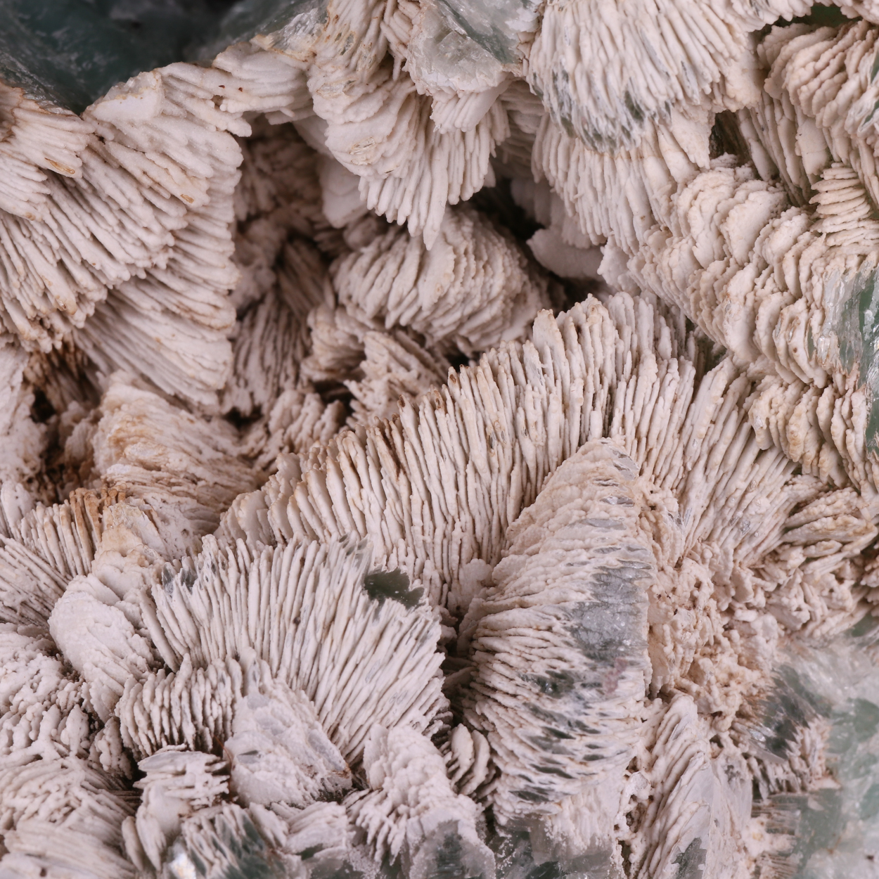 Hydrozincite On Tarbuttite