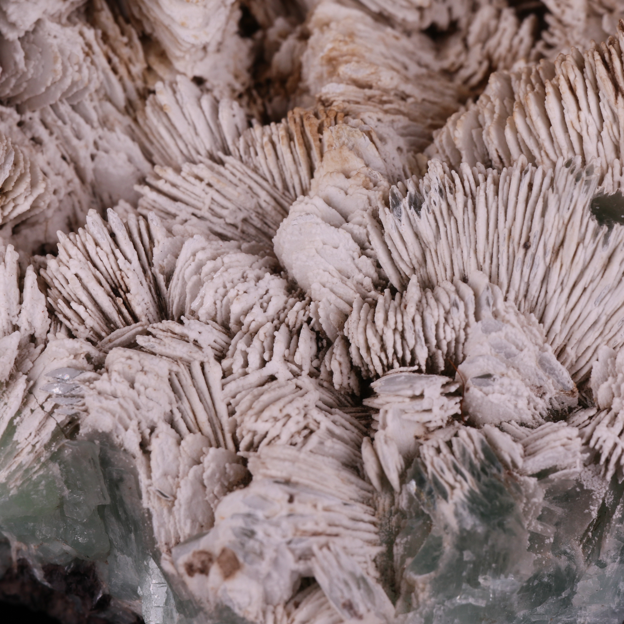 Hydrozincite On Tarbuttite