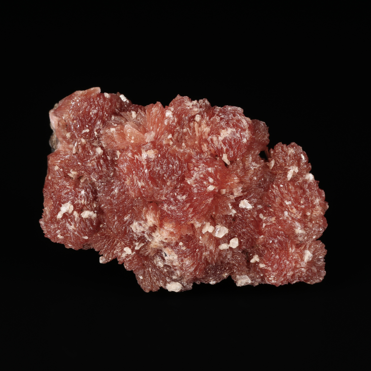 Inesite On Orlymanite
