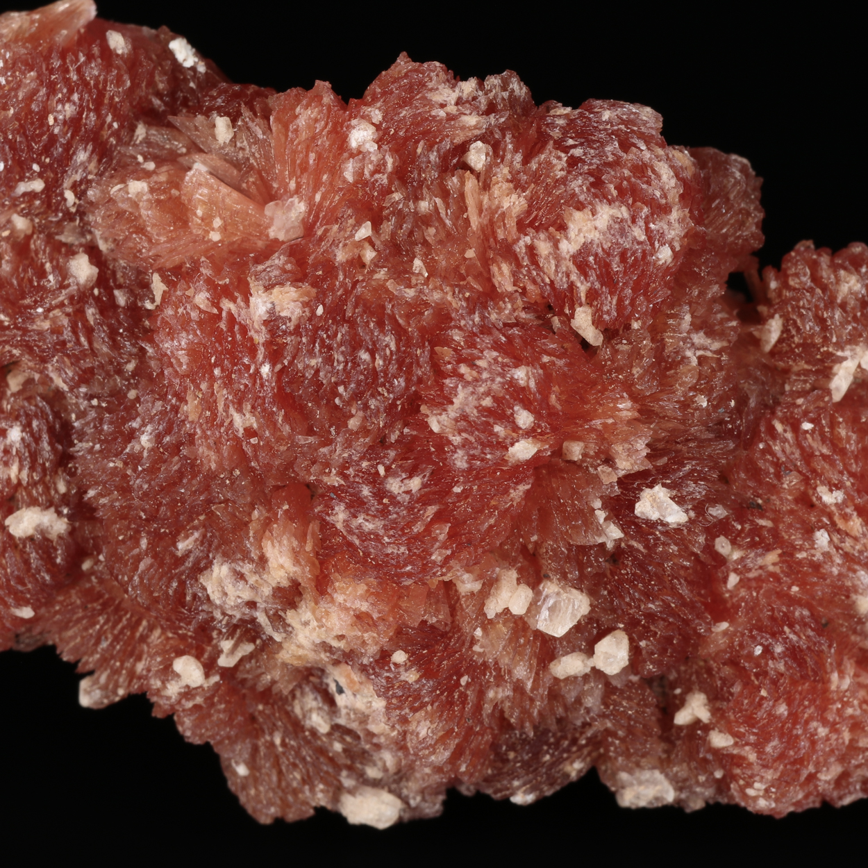 Inesite On Orlymanite