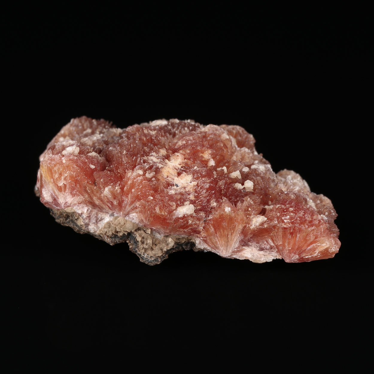 Inesite On Orlymanite