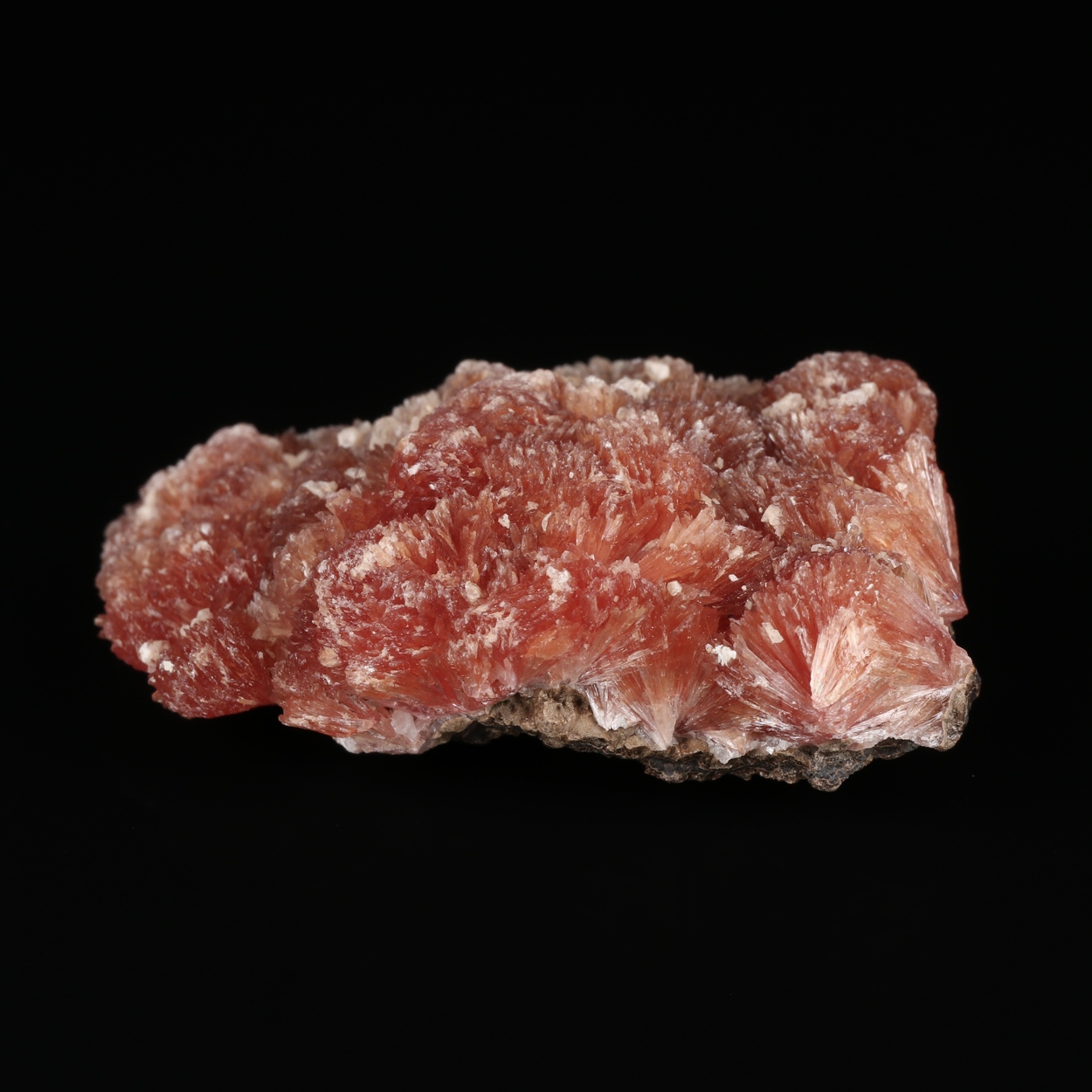 Inesite On Orlymanite