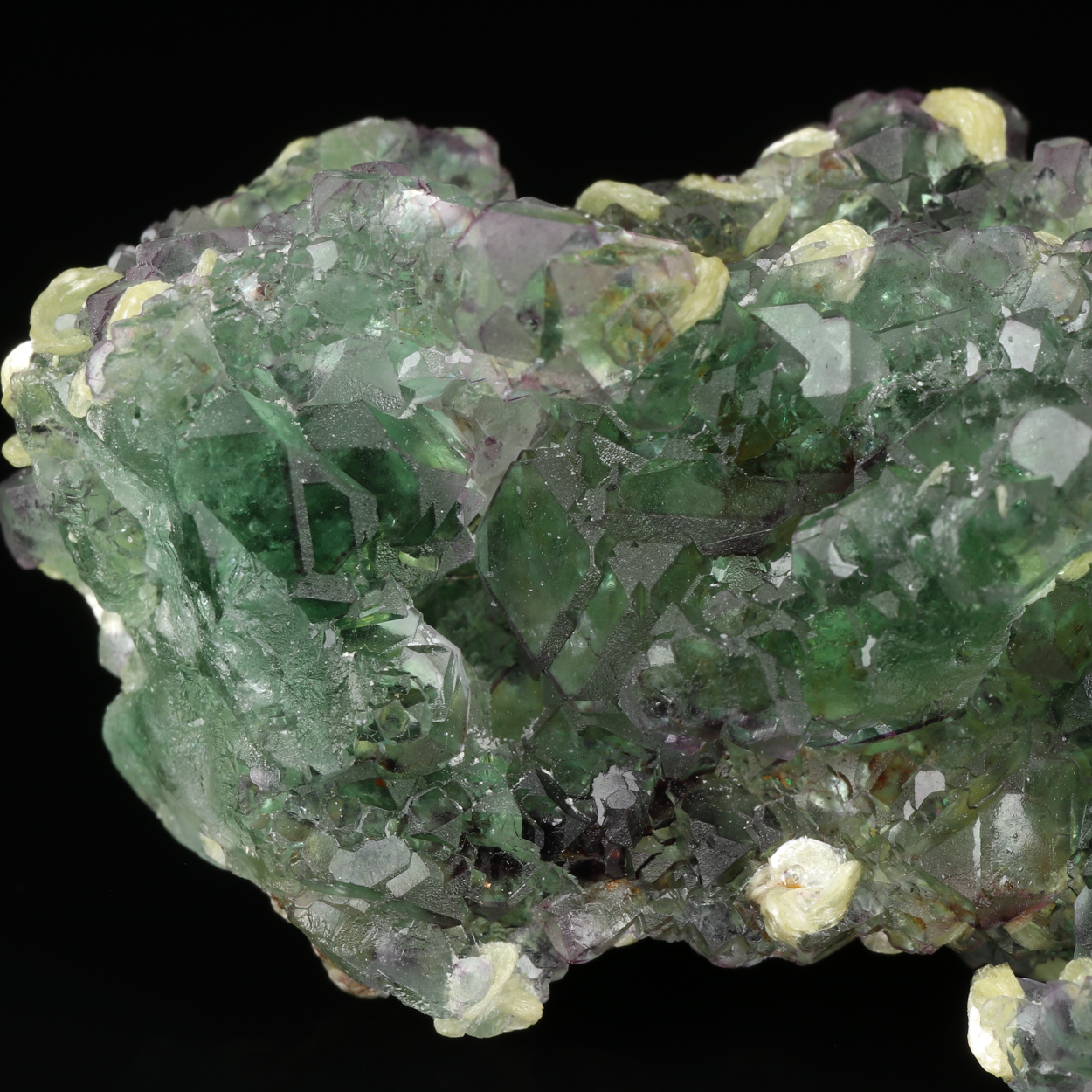 Muscovite On Fluorite