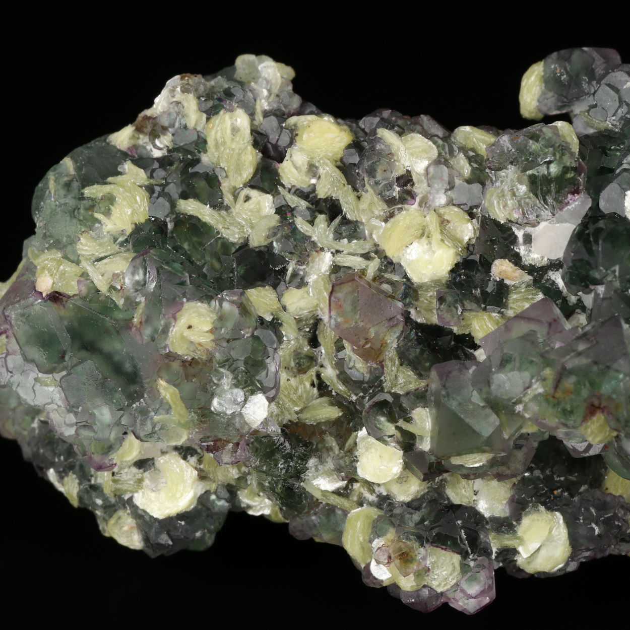Muscovite On Fluorite