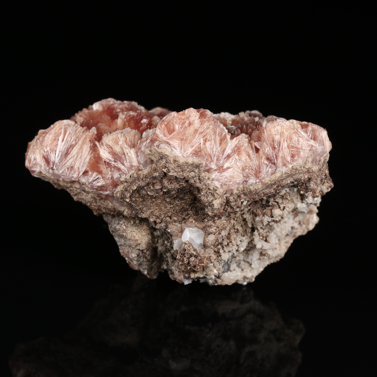 Inesite On Orlymanite