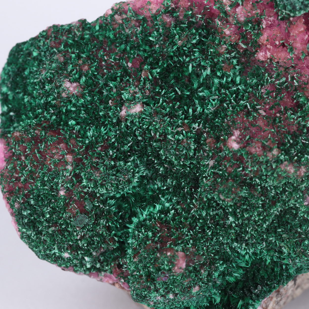 Malachite On Cobaltoan Calcite