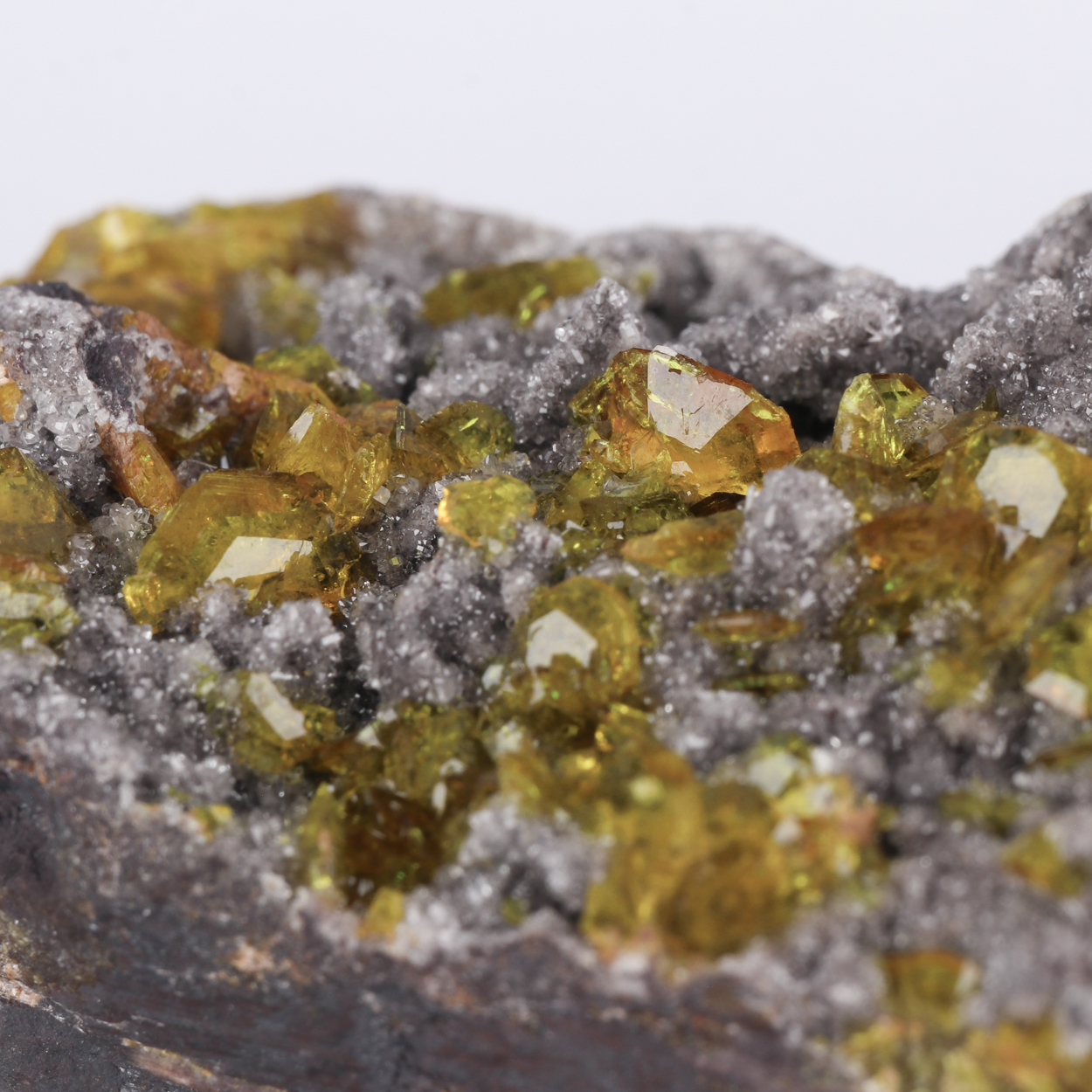Sturmanite