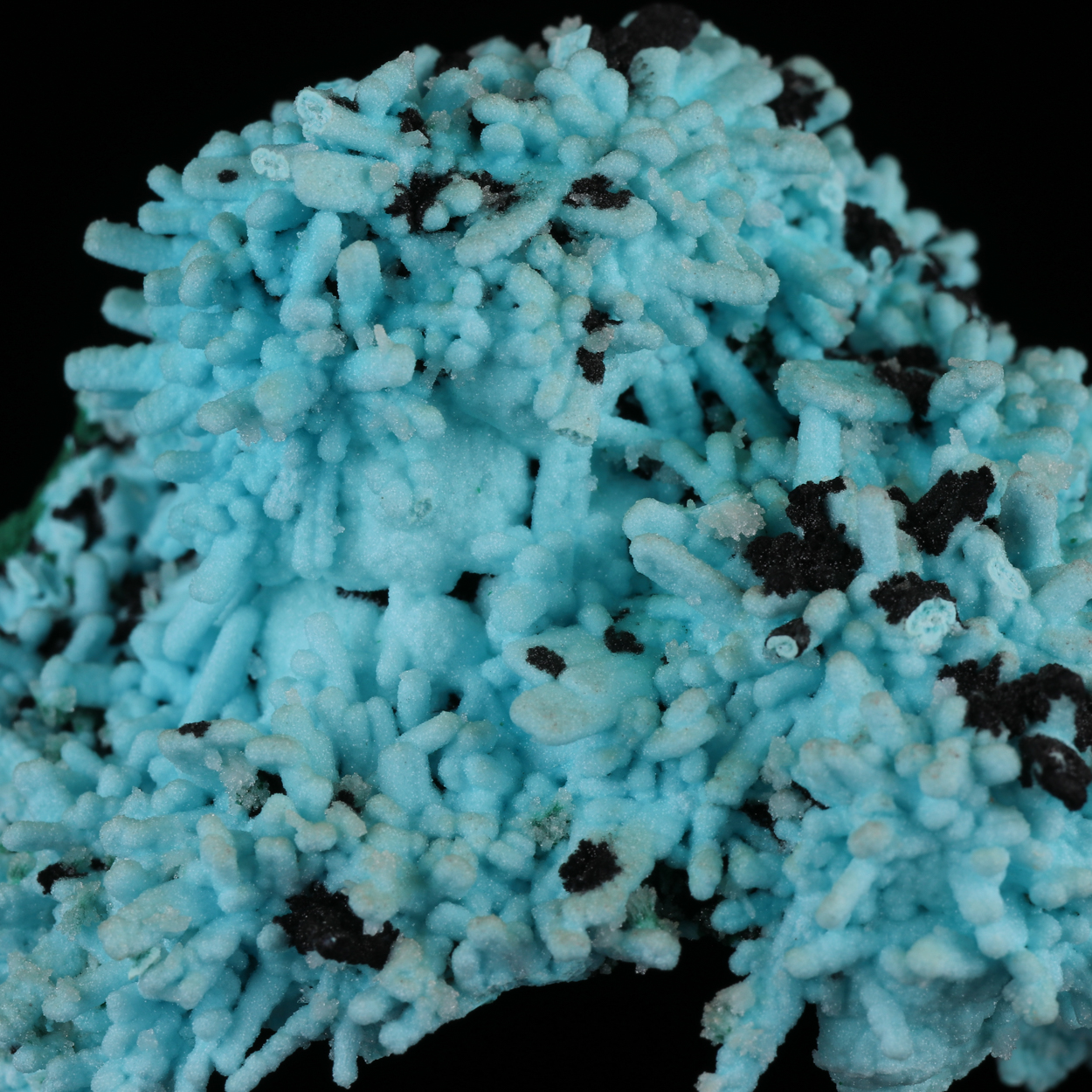 Heterogenite Chrysocolla Psm Malachite Psm Azurite