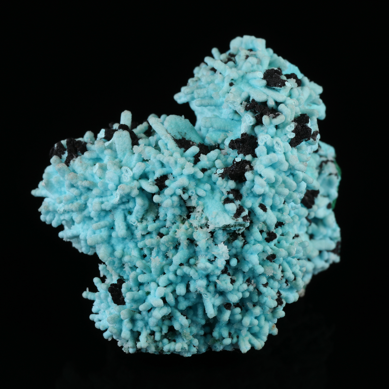 Heterogenite Chrysocolla Psm Malachite Psm Azurite