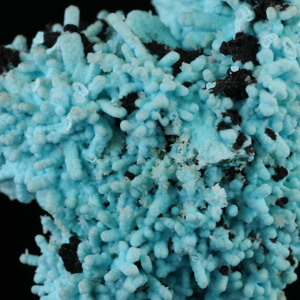 Heterogenite Chrysocolla Psm Malachite Psm Azurite