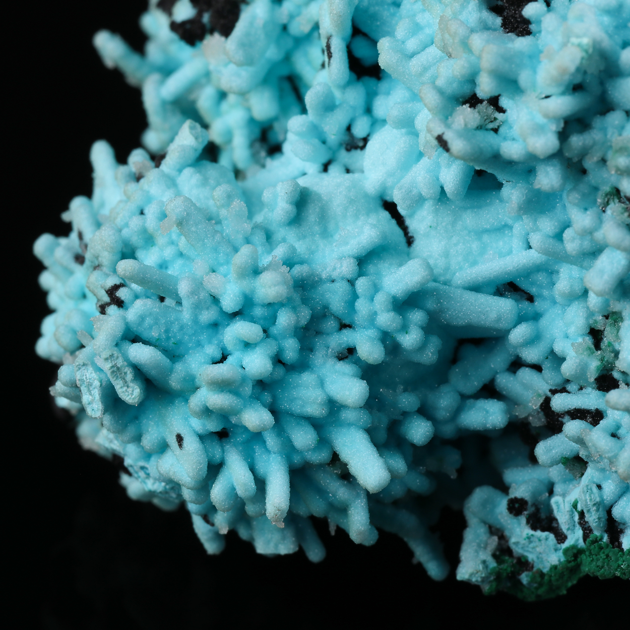Heterogenite Chrysocolla Psm Malachite Psm Azurite