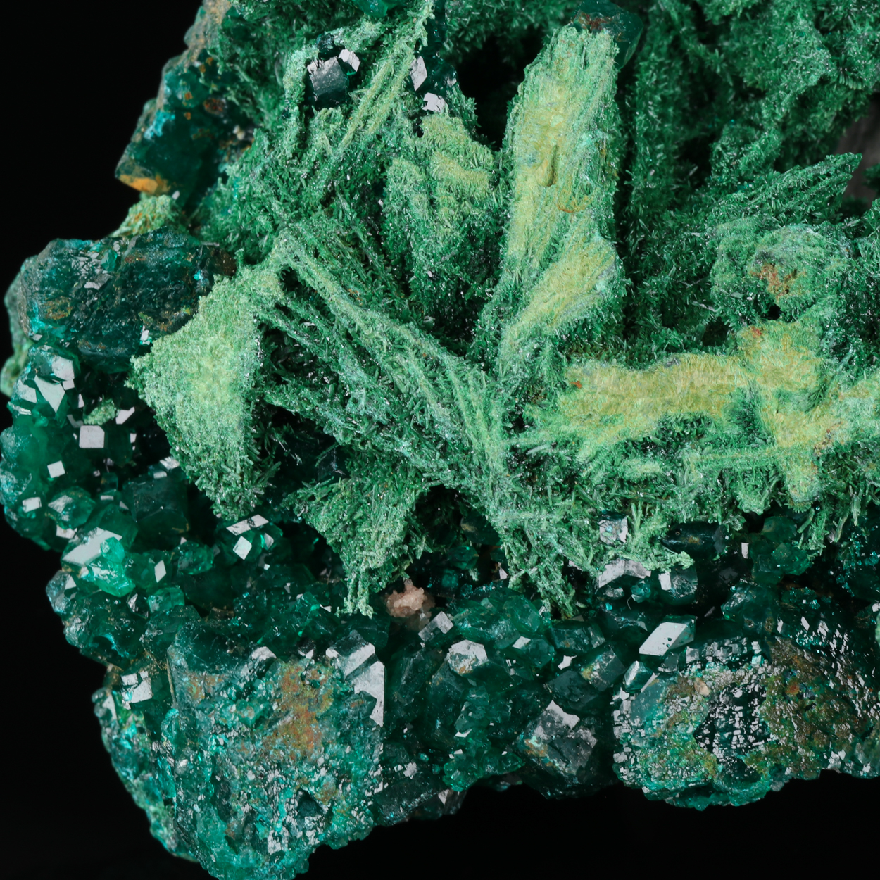 Dioptase On Malachite