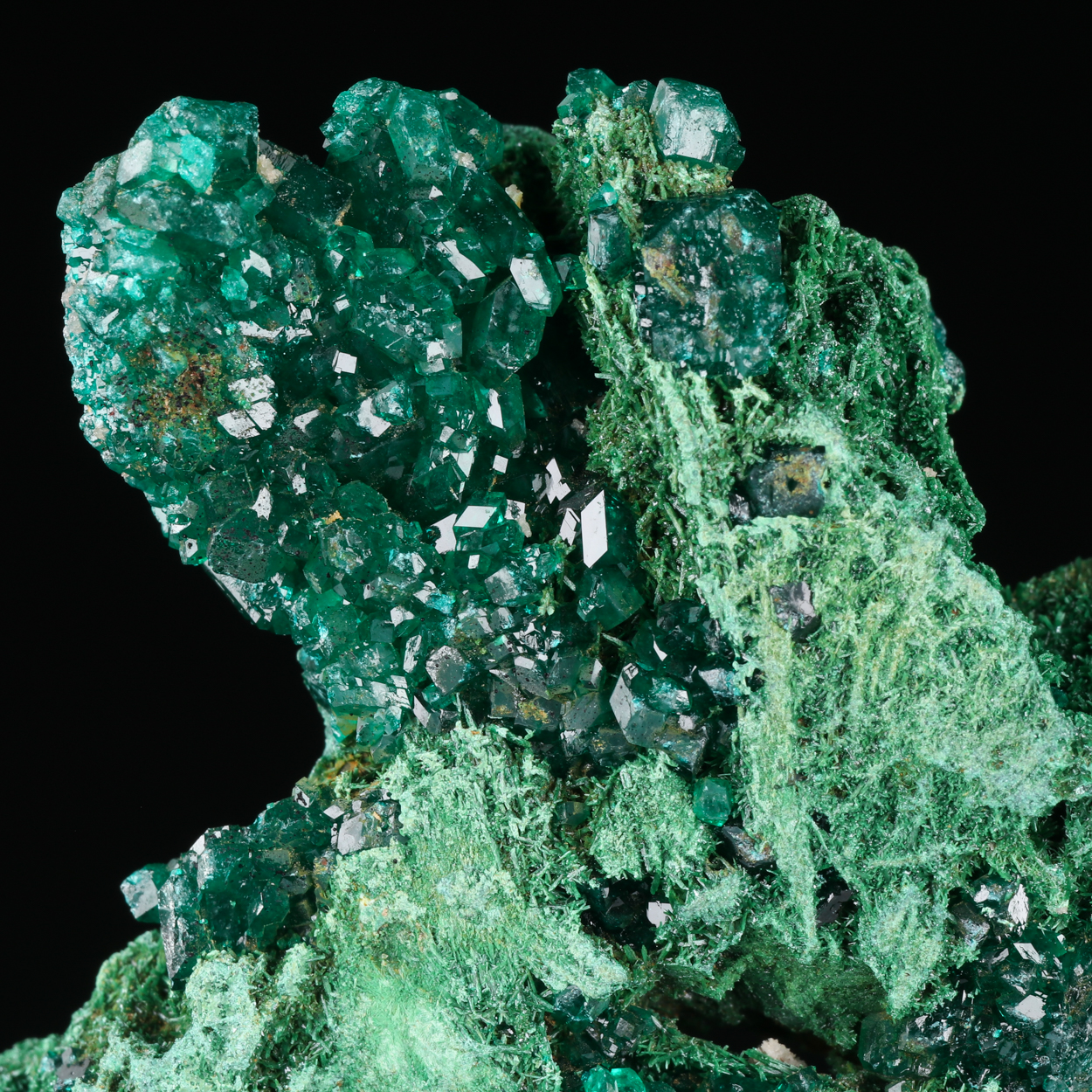 Dioptase On Malachite