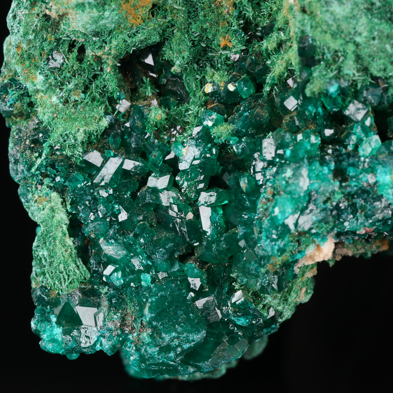 Dioptase On Malachite