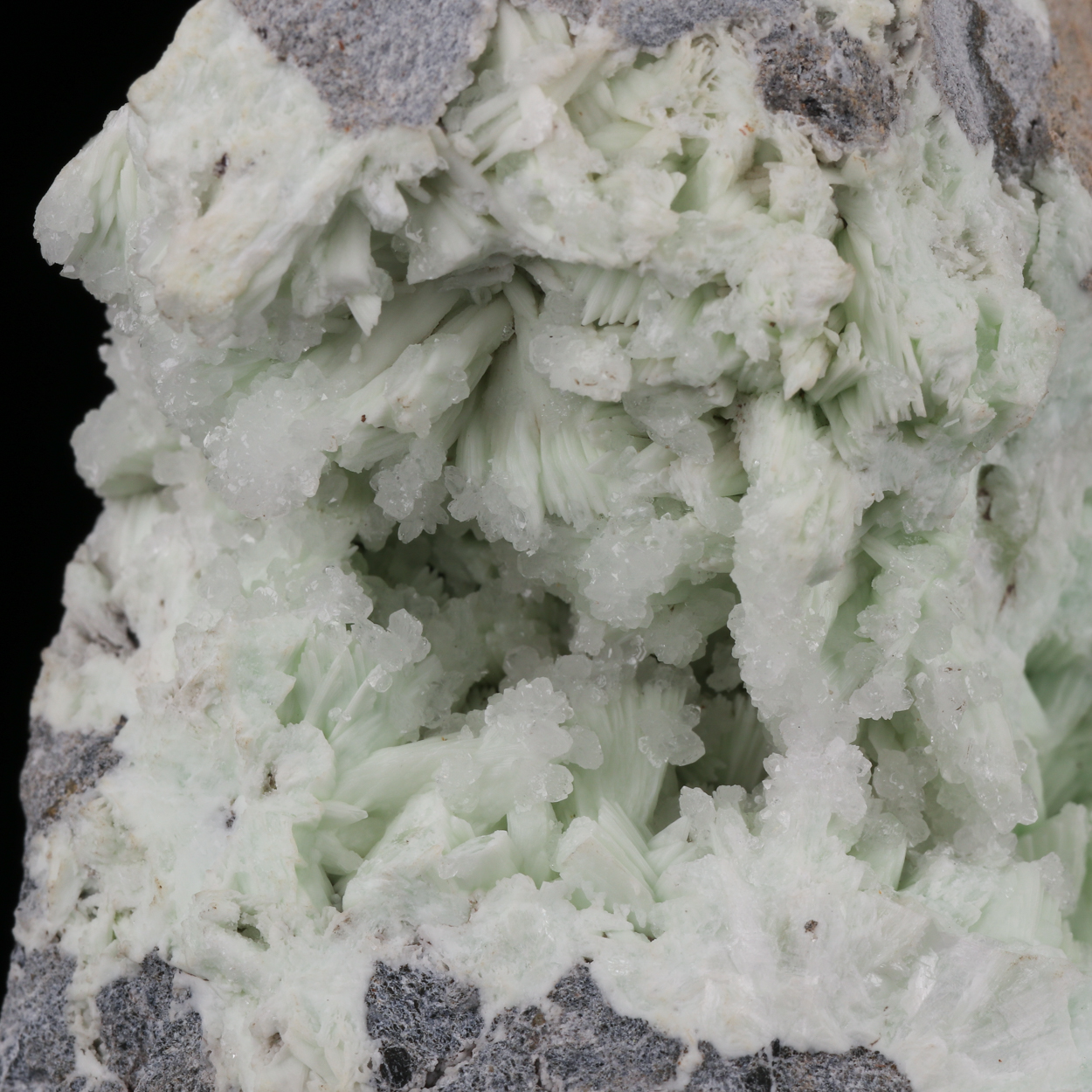 Hemimorphite On Fluorapatite Psm Tarbuttite