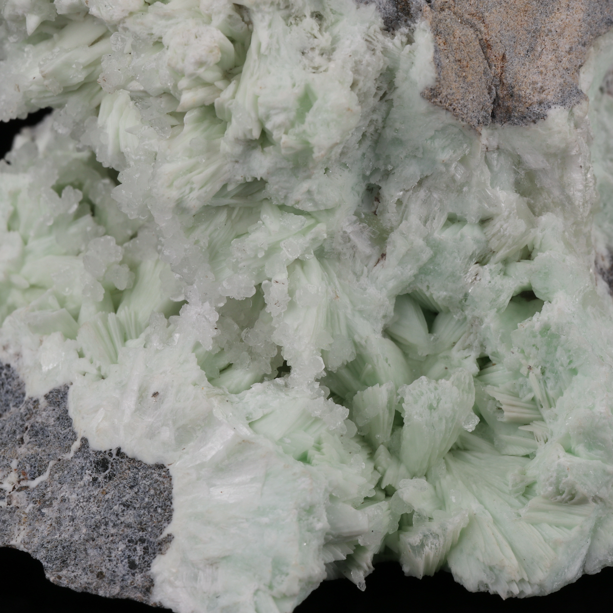 Hemimorphite On Fluorapatite Psm Tarbuttite