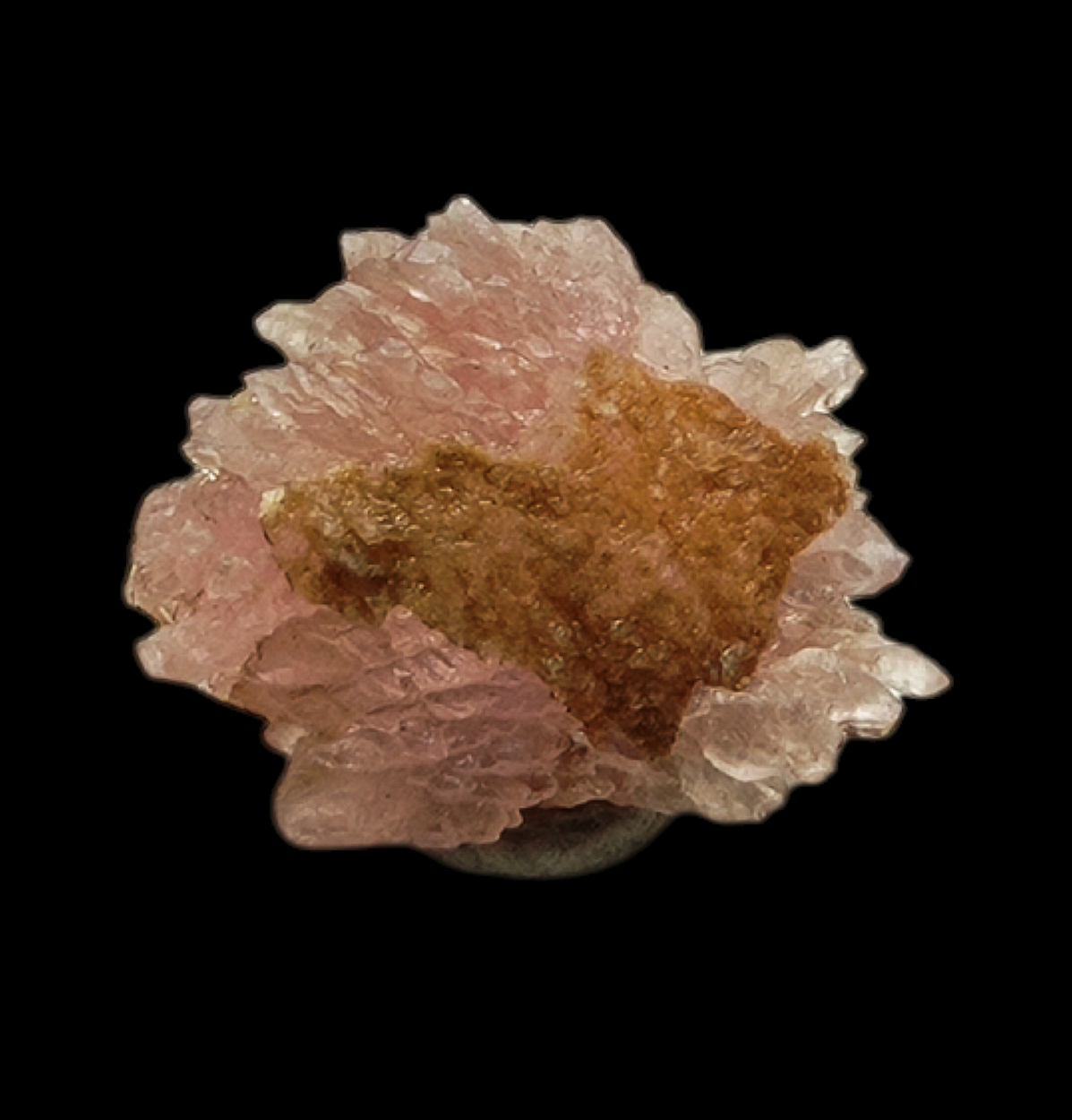 Rose Quartz With Childrenite