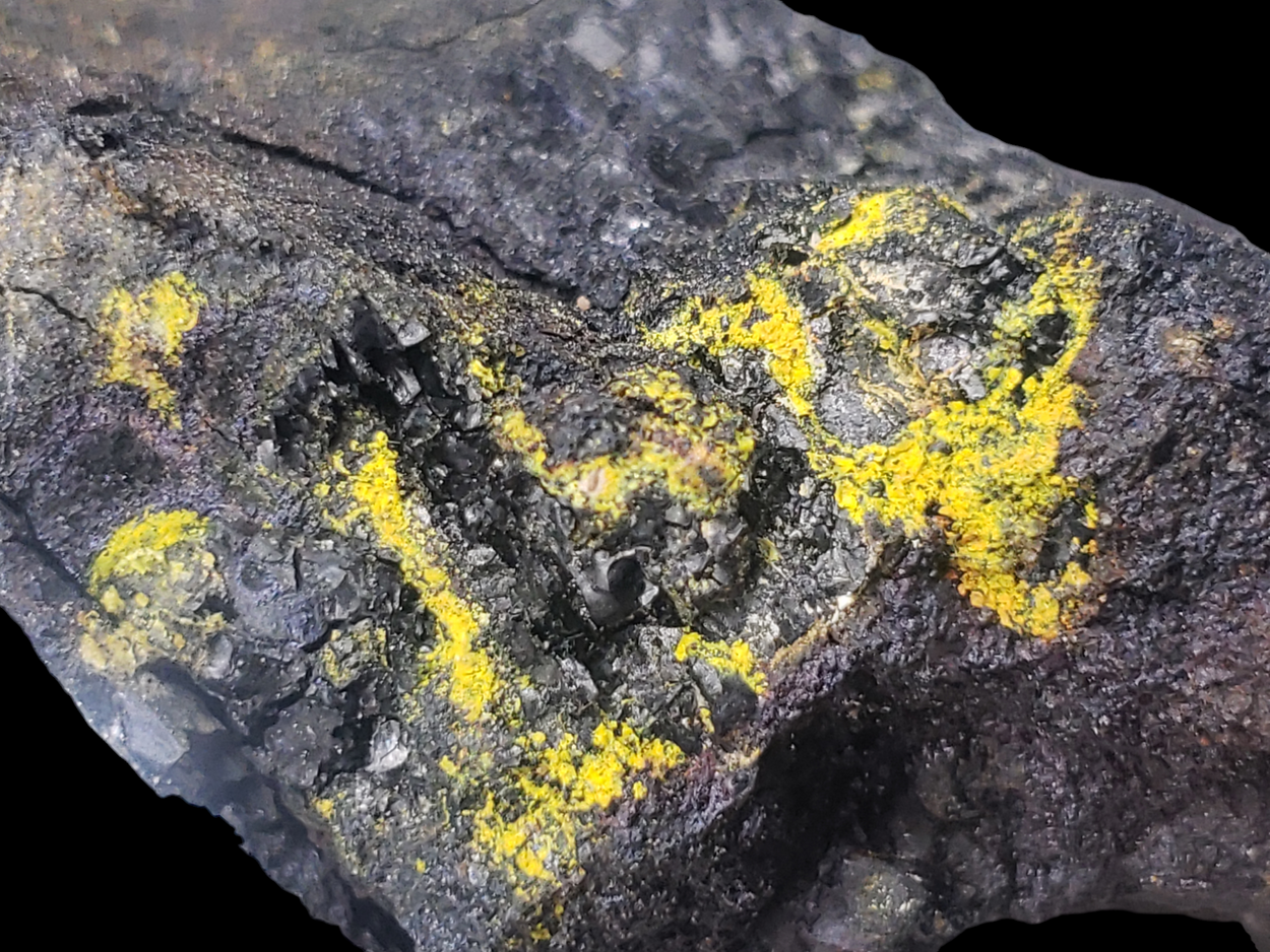 Uraninite With Tyuyamunite & Carnotite