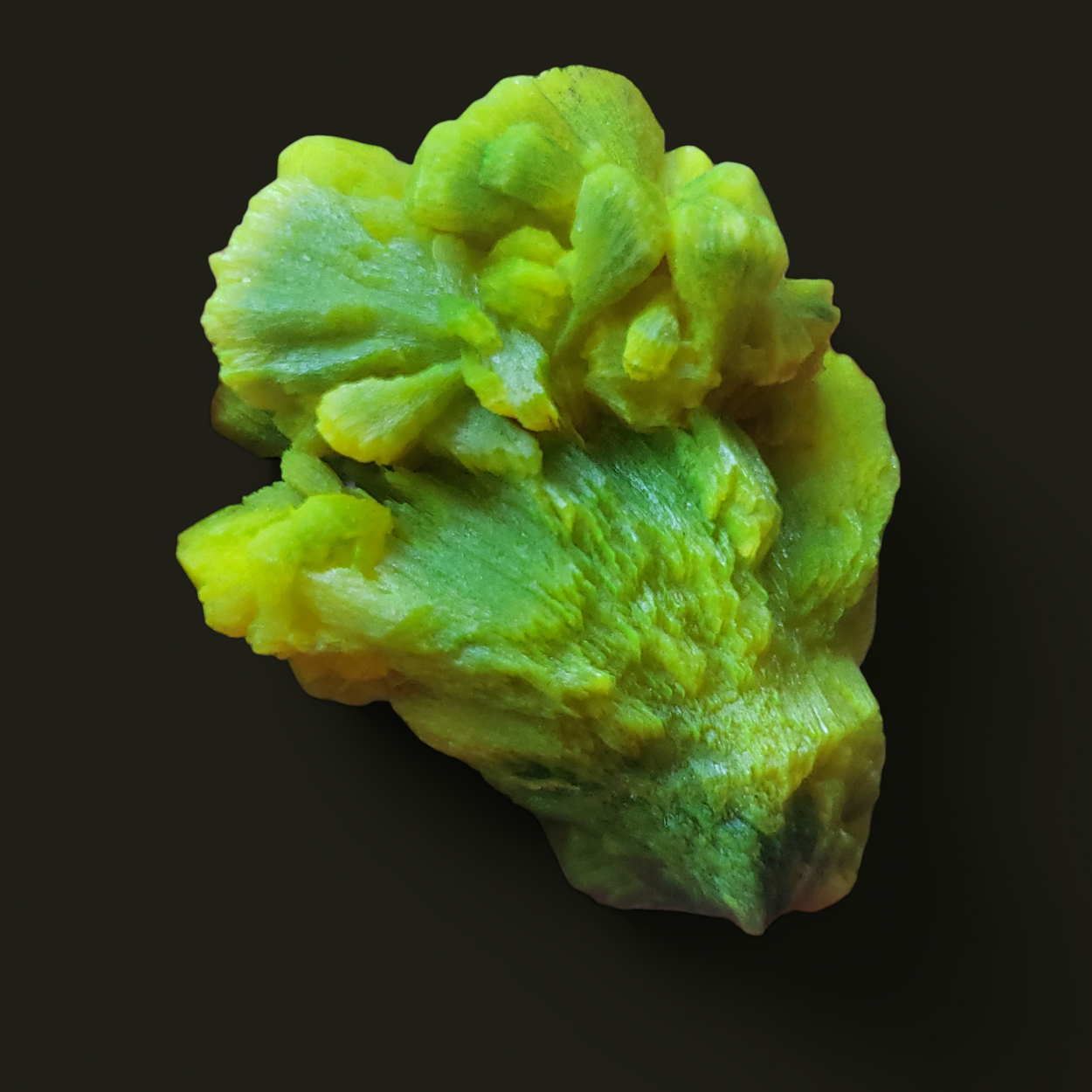 Autunite