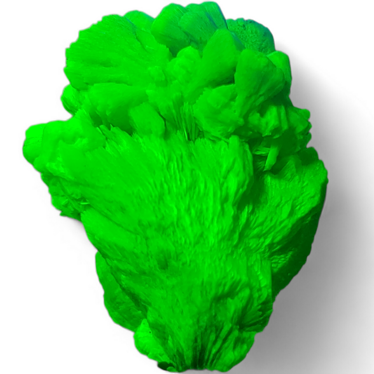 Autunite