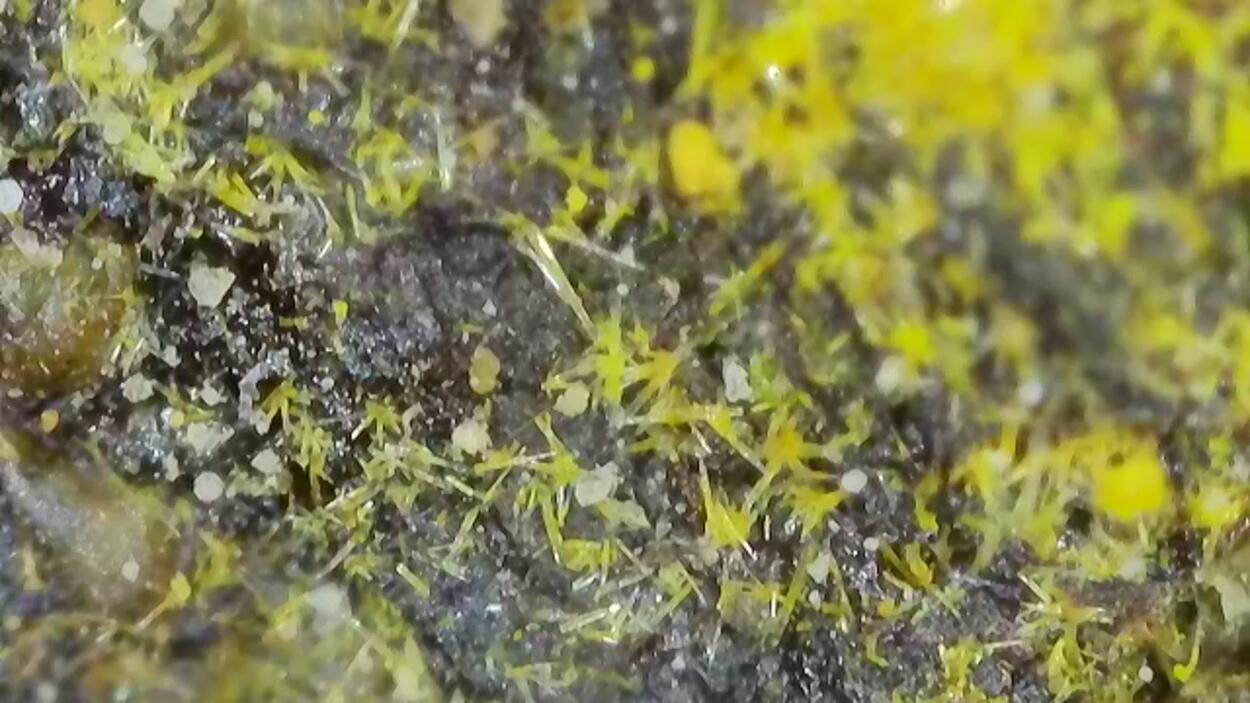 Uranophane & Carnotite