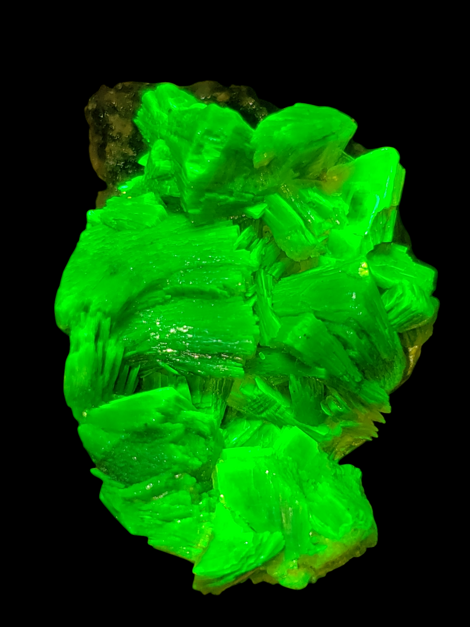 Autunite