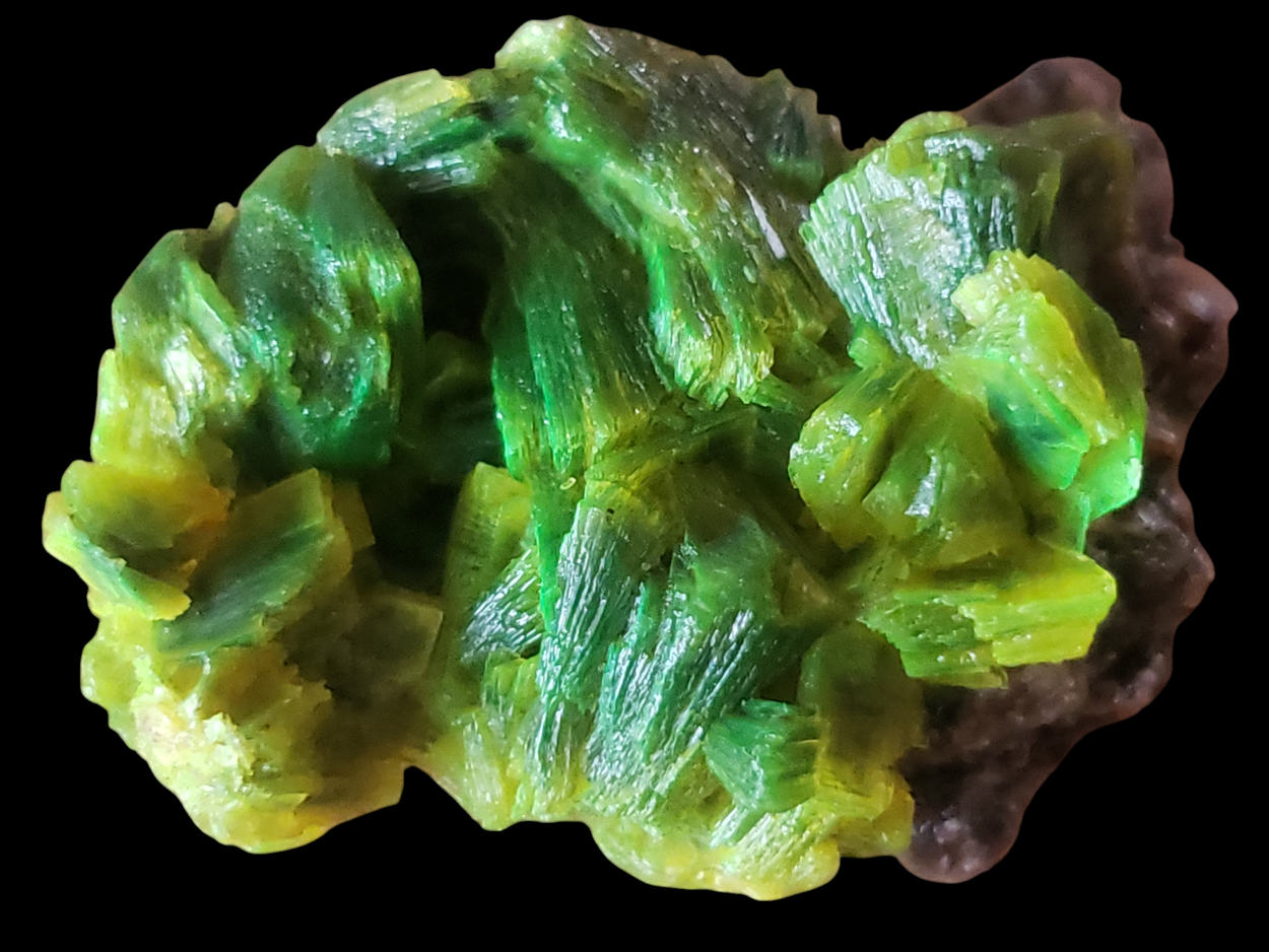 Autunite