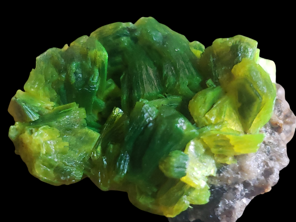 Autunite