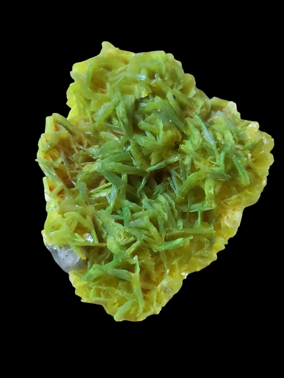 Autunite