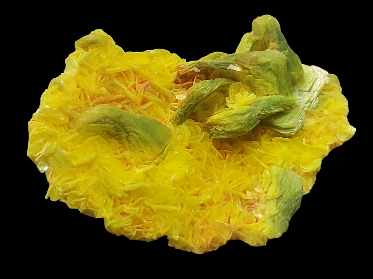 Autunite