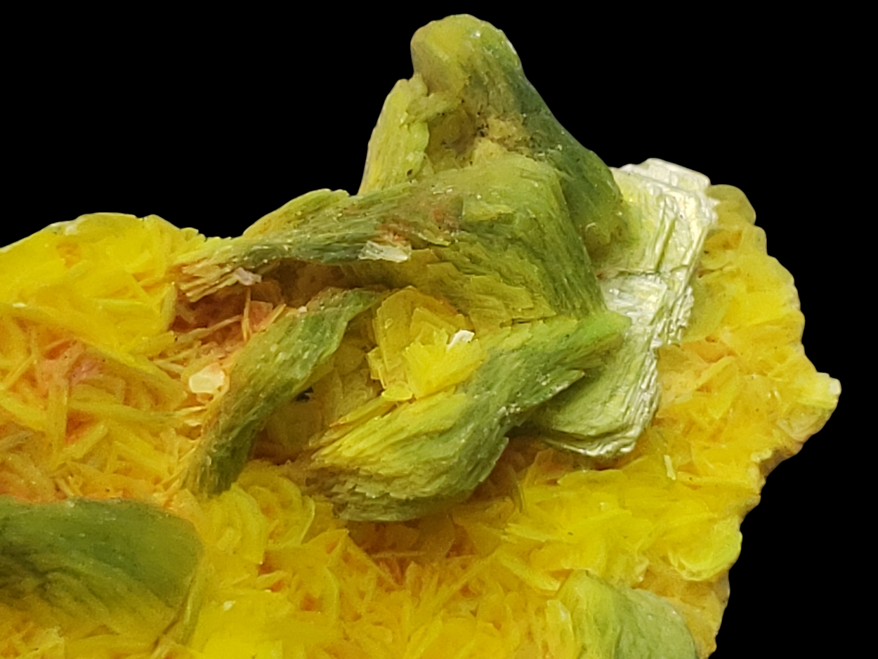 Autunite