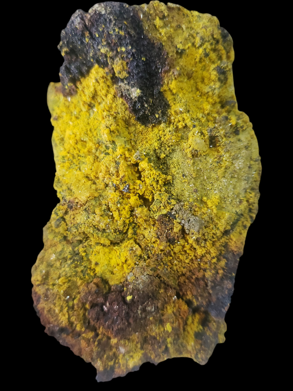 Uraninite With Gummite & Tyuyamunite