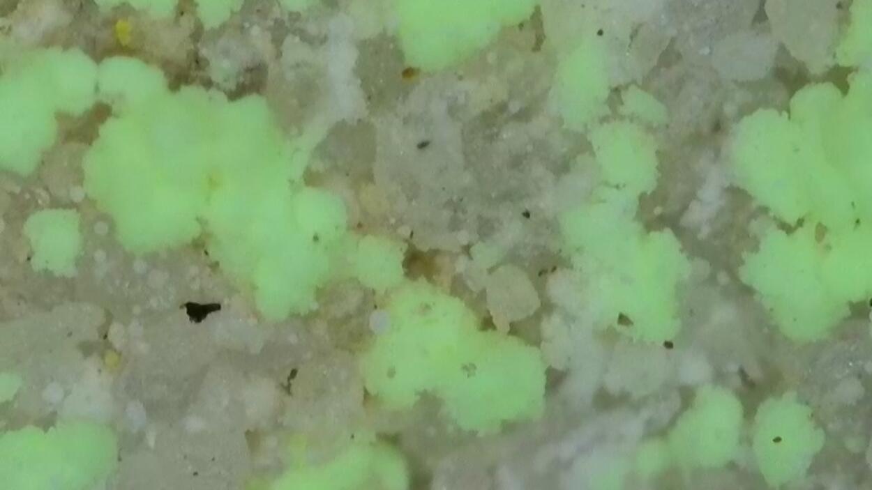 Andersonite On Sandstone