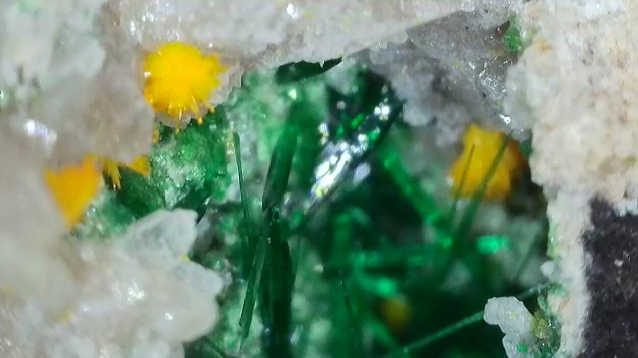 Kasolite With Malachite