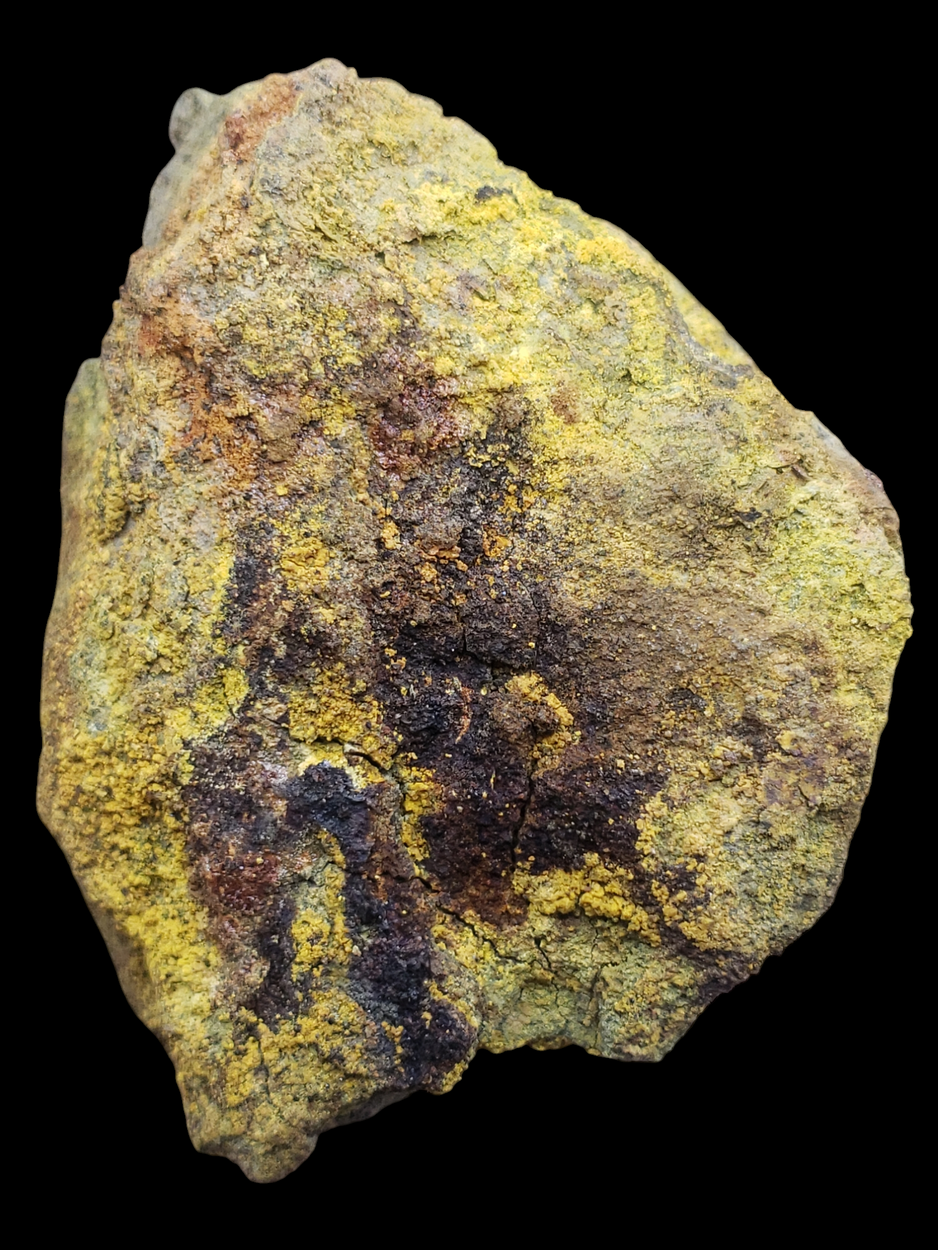 Carnotite With Tyuyamunite