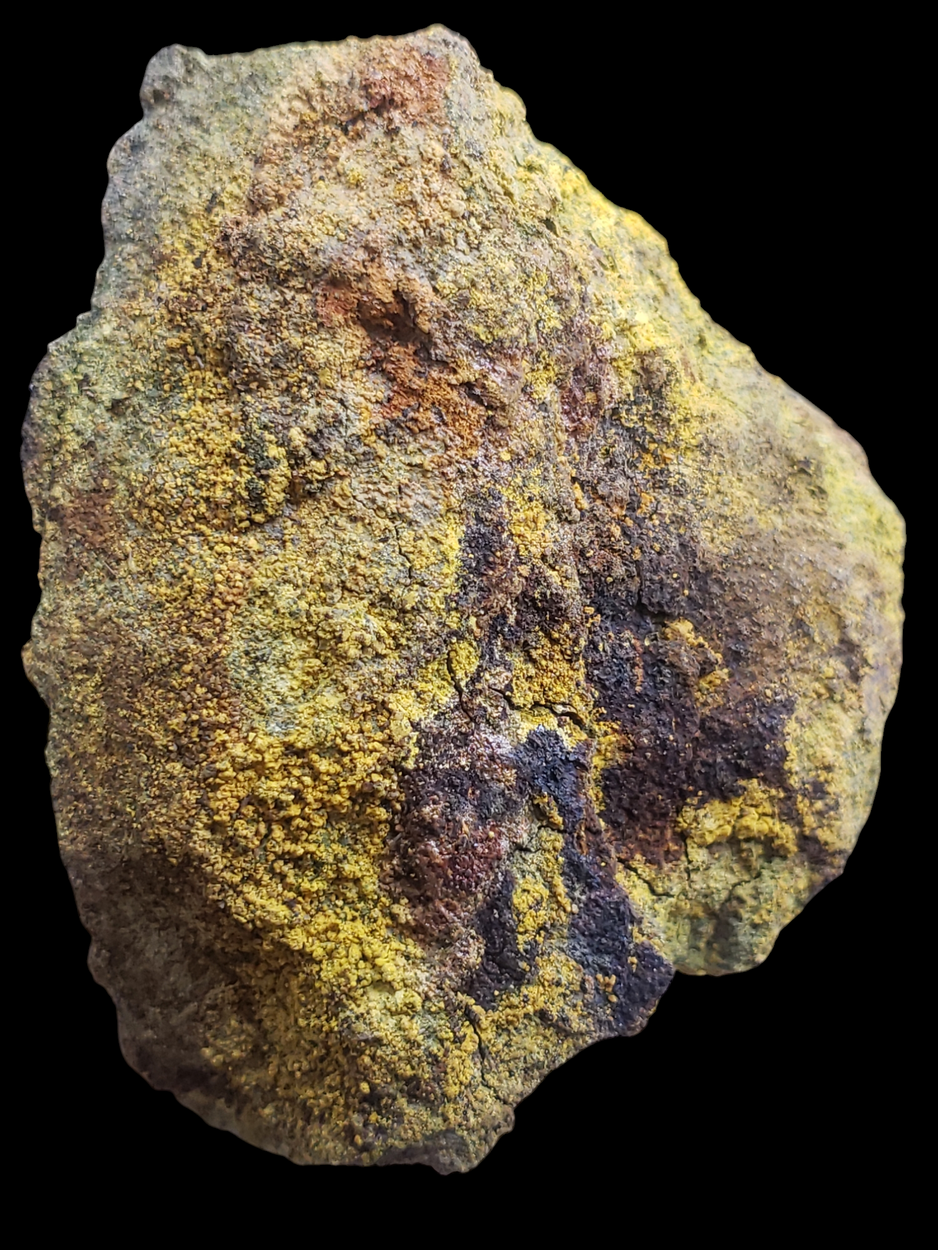 Carnotite With Tyuyamunite