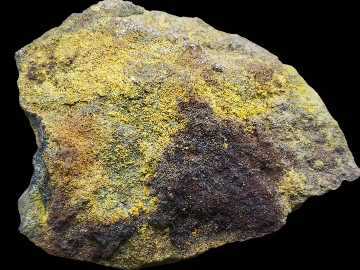 Carnotite With Tyuyamunite