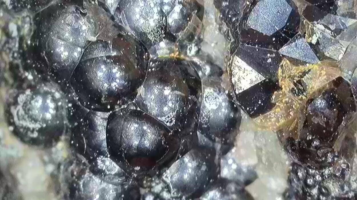 Uraninite