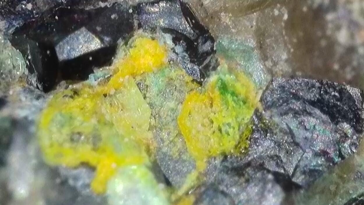 Uraninite