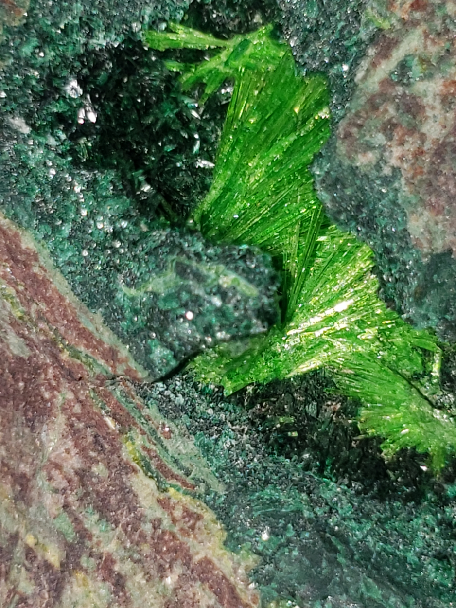 Cuprosklodowskite With Malachite